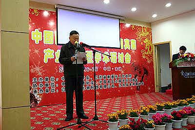 九州网址 九州网址