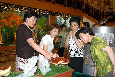 九州网址 九州网址